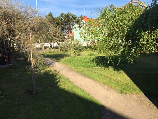 Från stugan mot vägen