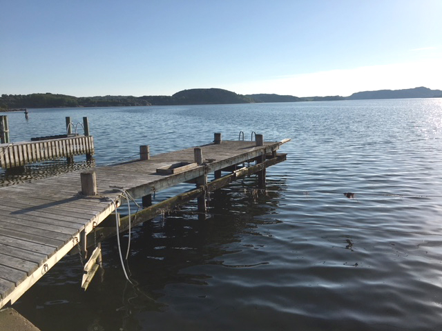 Bryggnocken mot sydväst