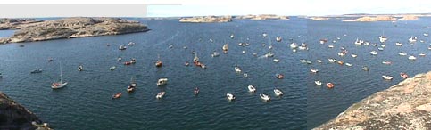 vy.JPG (21702 bytes)